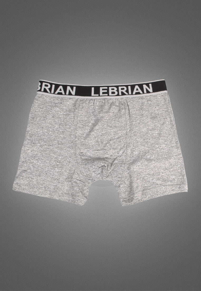 LeBrian Cotton 2-in-1 Boxer Briefs