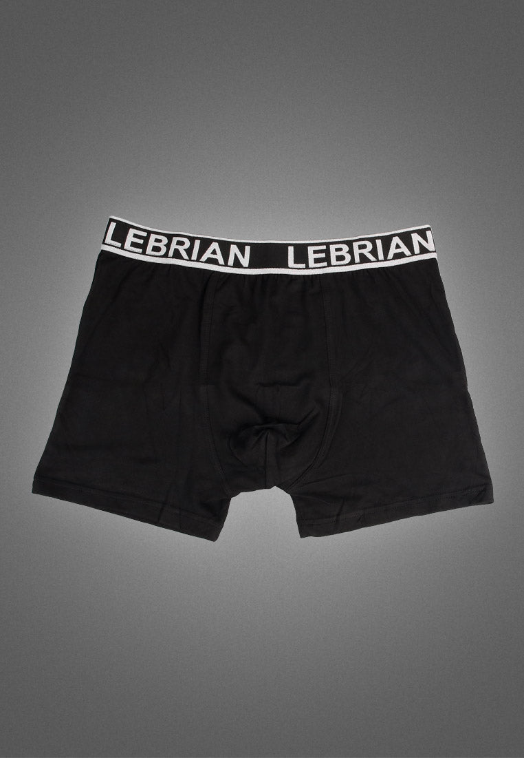 LeBrian Cotton 2-in-1 Boxer Briefs