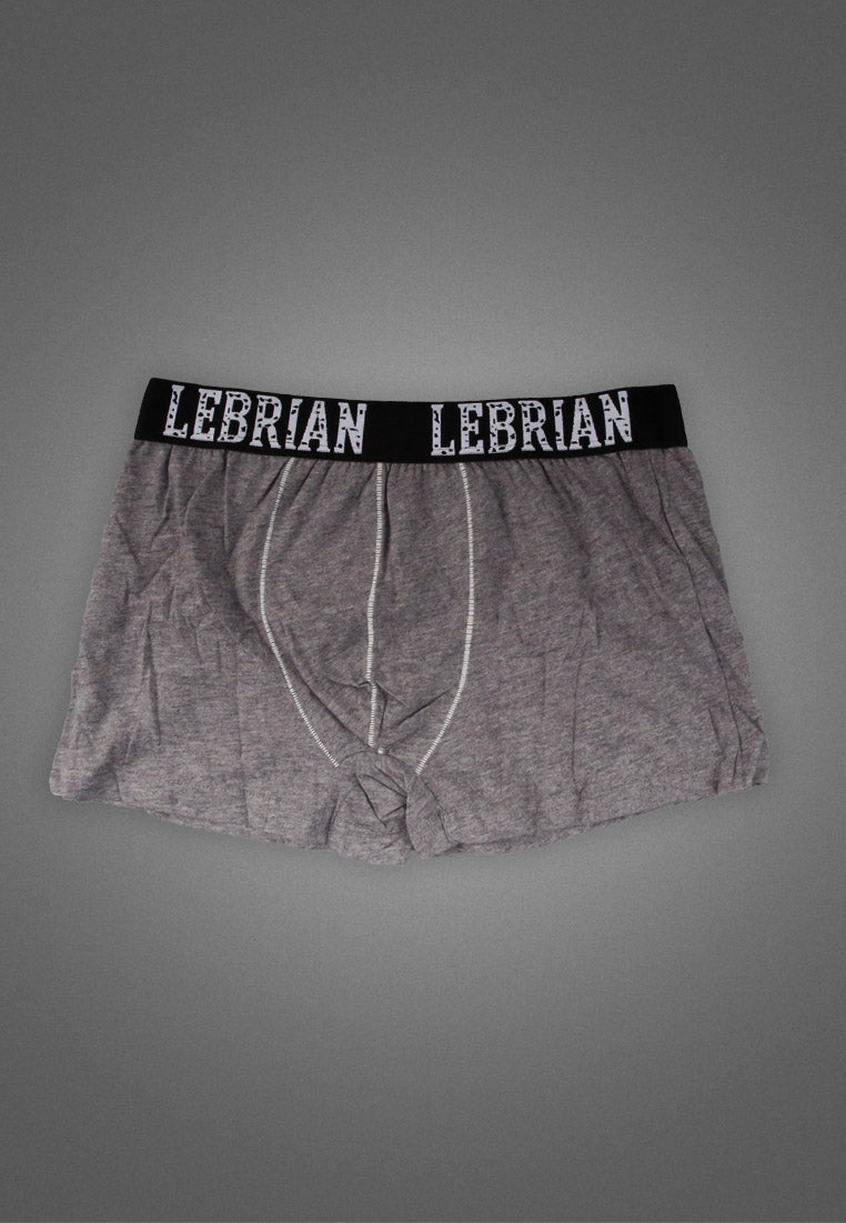 LeBrian Cotton 2-in-1 Boxer Briefs