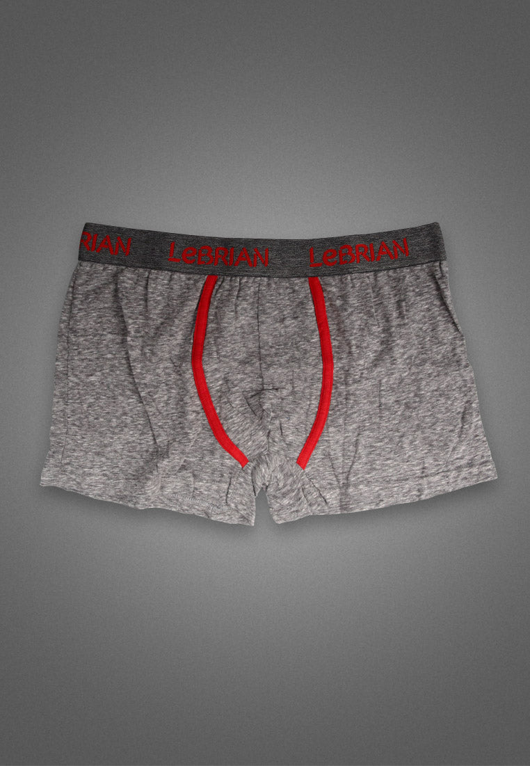 LeBrian Cotton 2-in-1 Boxer Briefs