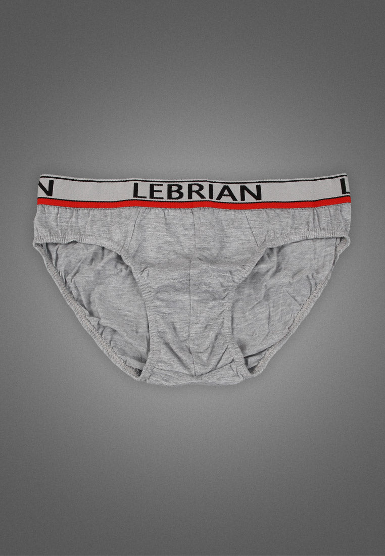 LeBrian Cotton 3-in-1 Men's Briefs