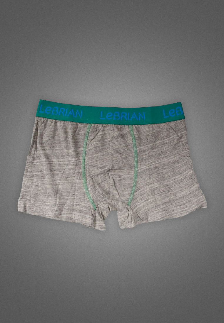 LeBrian Cotton 2-in-1 Boxer Briefs