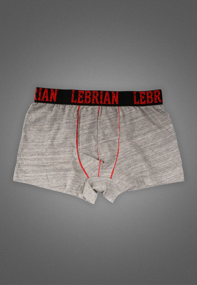 LeBrian Cotton 2-in-1 Boxer Briefs