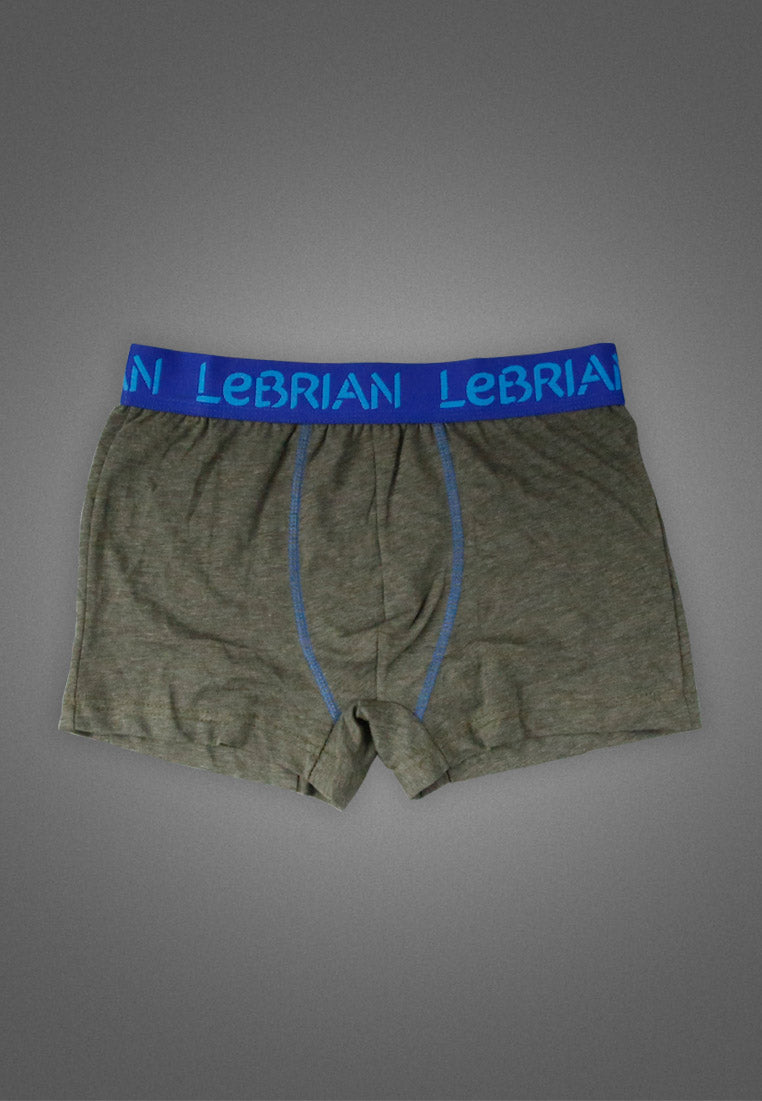 LeBrian Cotton 2-in-1 Boxer Briefs