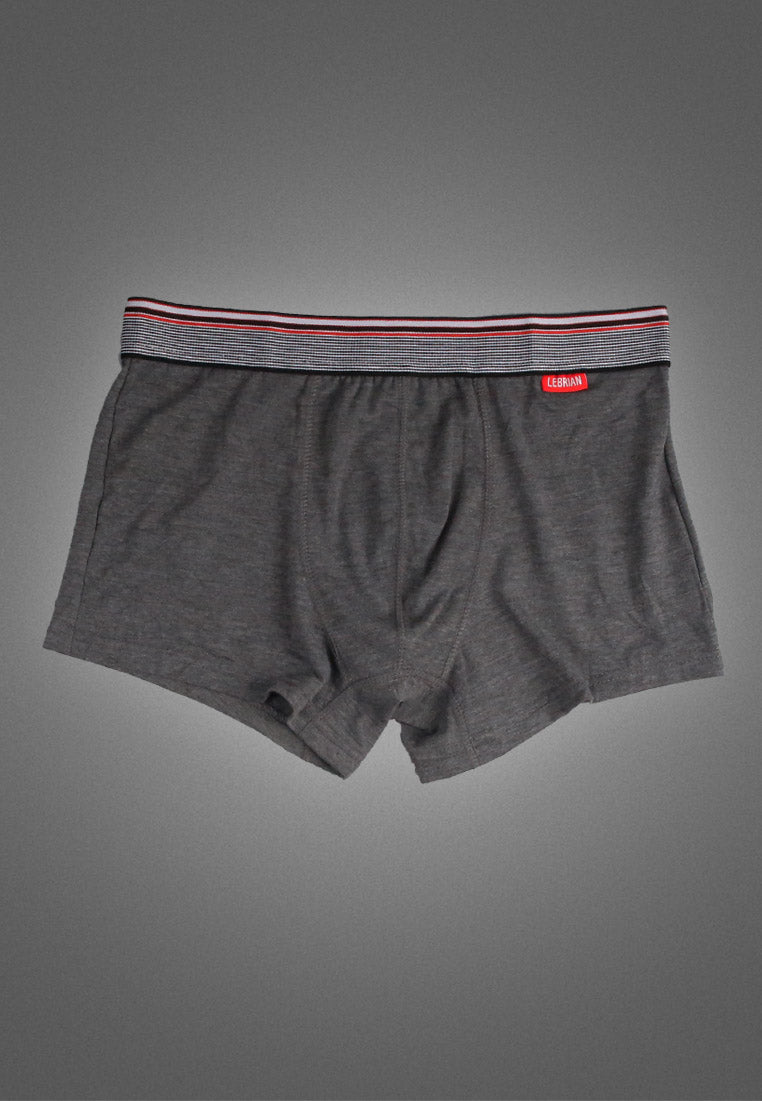 LeBrian Cotton 2-in-1 Boxer Briefs