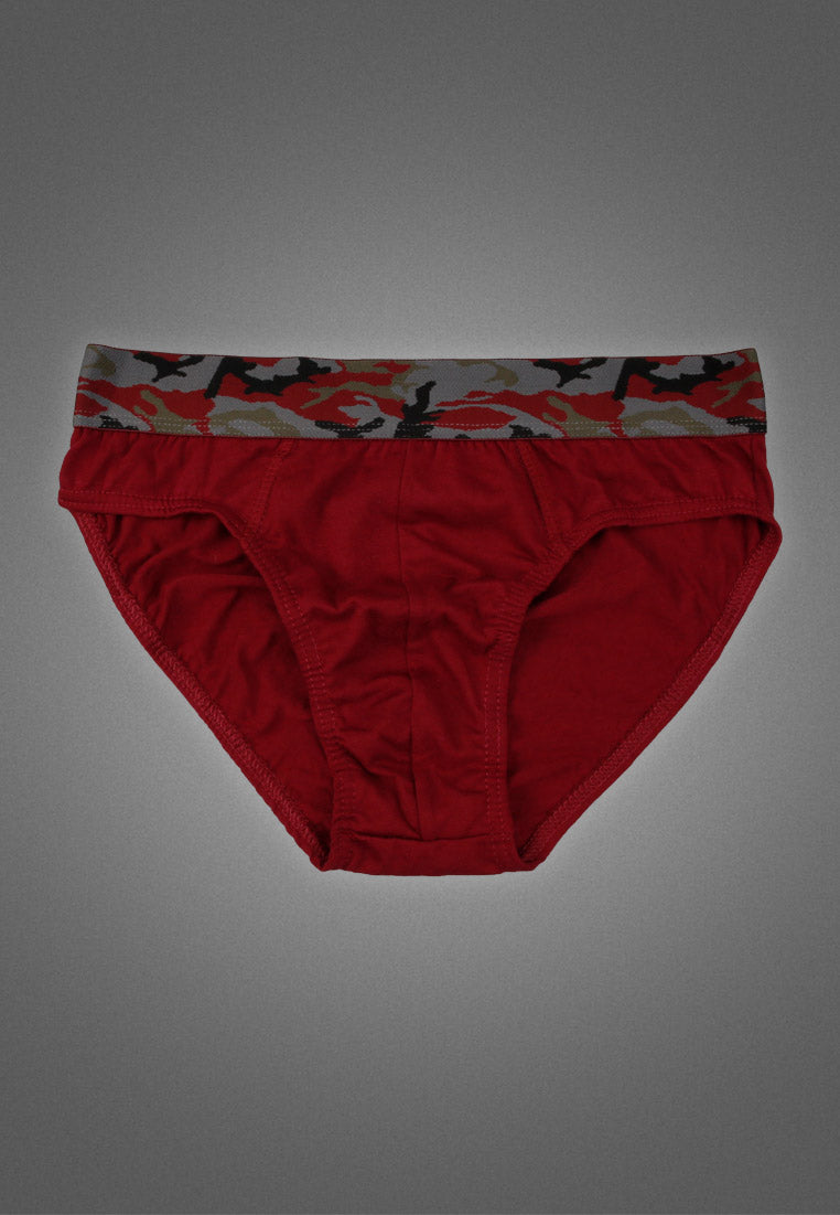 LeBrian Cotton 3-in-1 Men's Briefs