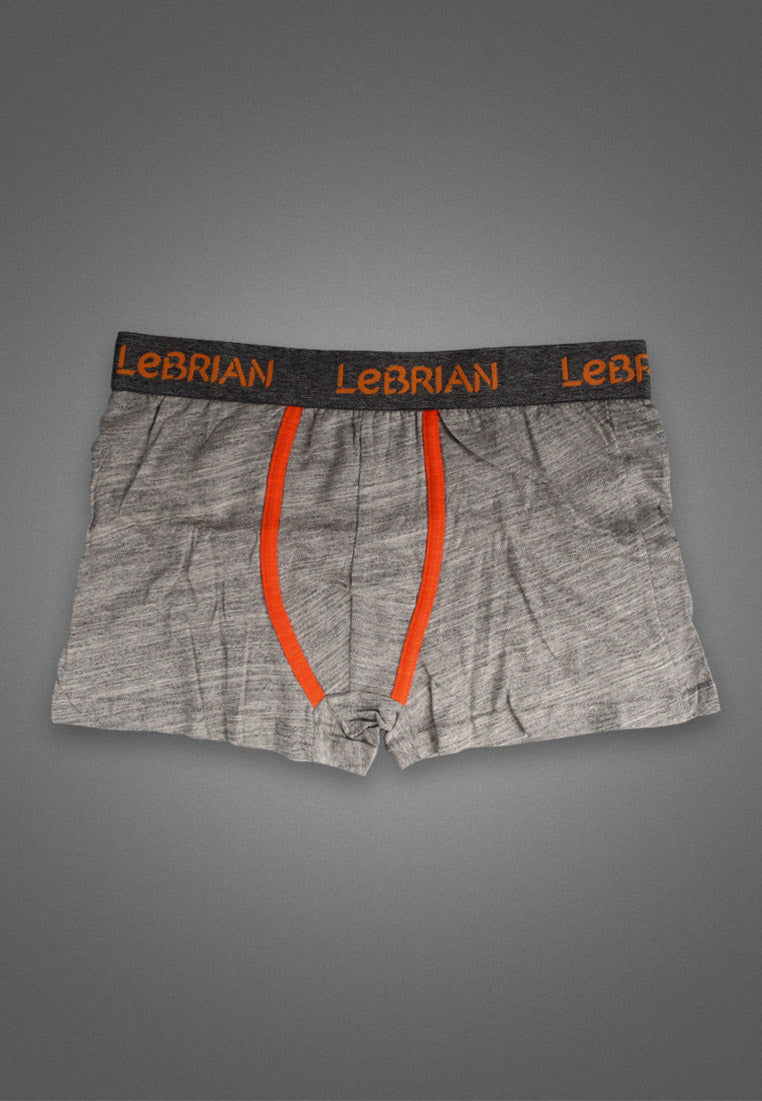 LeBrian Cotton 2-in-1 Boxer Briefs